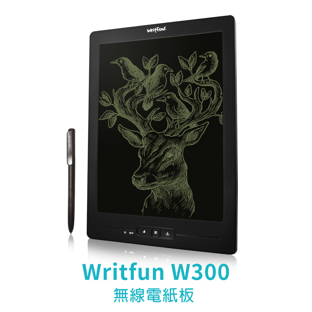 Green Board Writfun W300
